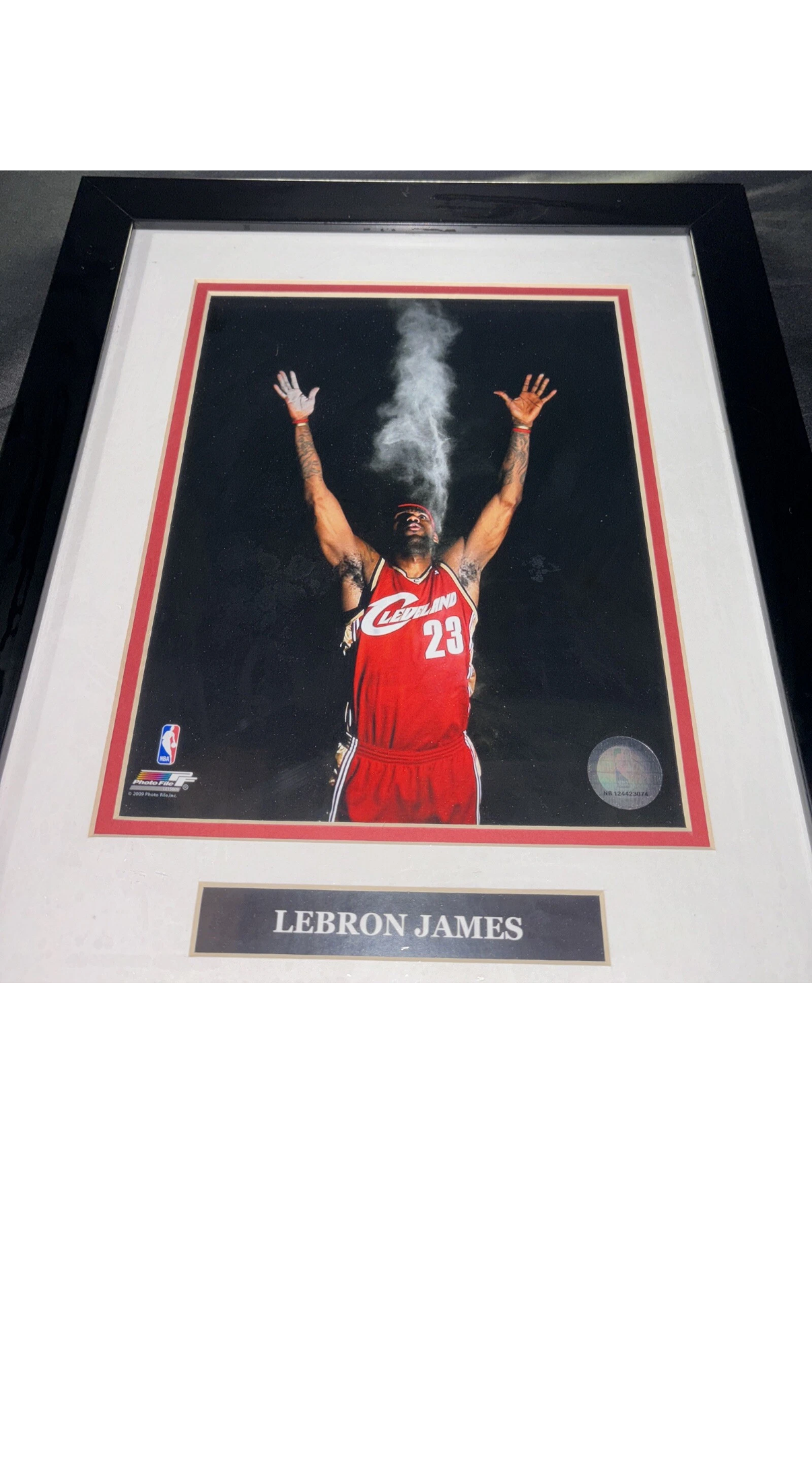 2009 NBA Photo File.Inc NB 124423074 Lebron James Portrait