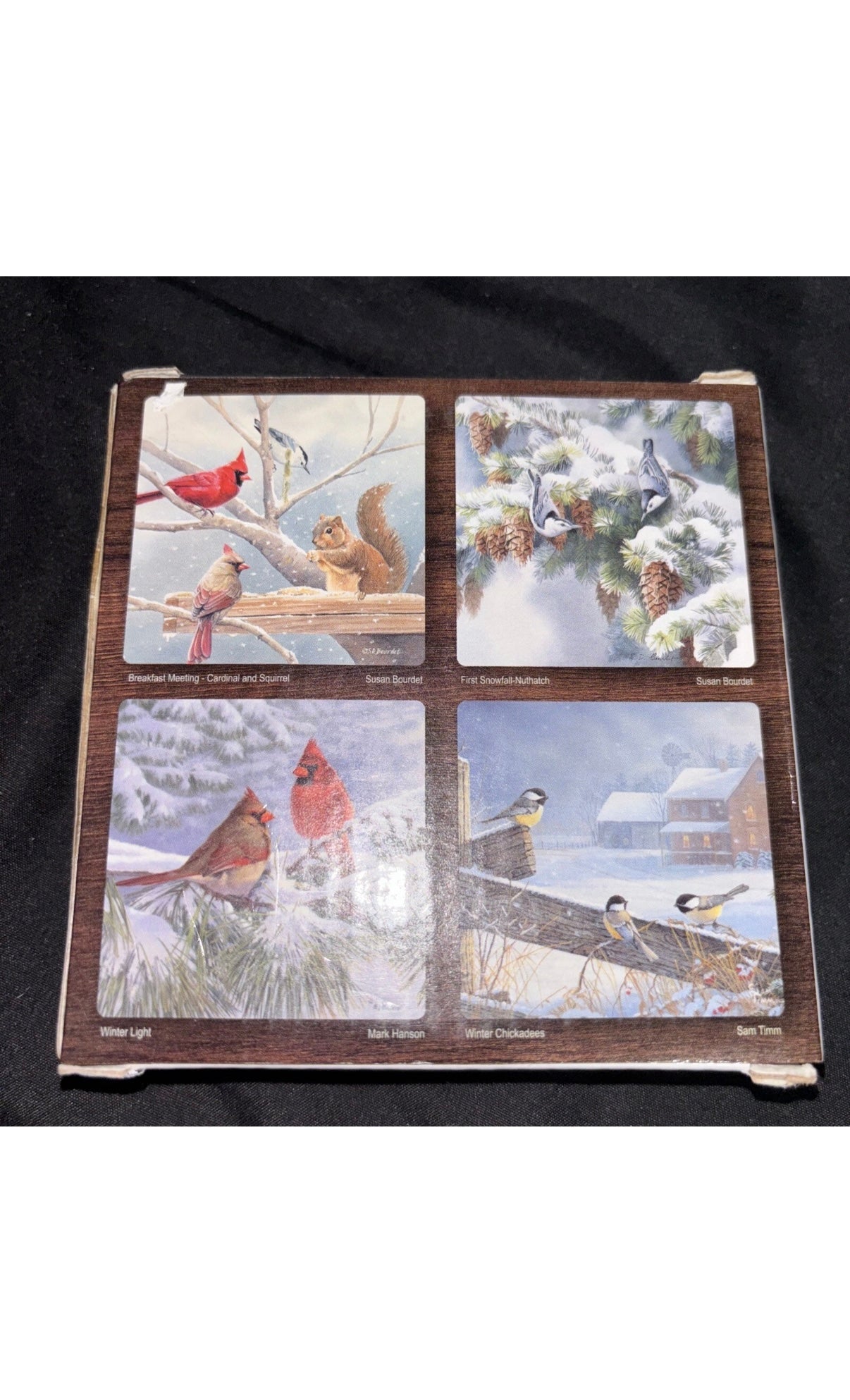 Wild Wings 4 Pc Winter Bird Assorted Coaster Set
